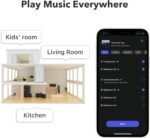 Amplificador Estereo WiiM Pro Plus Music Streamer Compatible con AirPlay, Google Cast, Alexa - Imagen 9