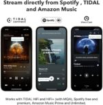 Amplificador Estereo WiiM Pro Plus Music Streamer Compatible con AirPlay, Google Cast, Alexa - Imagen 6